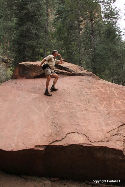 hike with Elly, Fritz, Jim Oak Canyon big rock-001